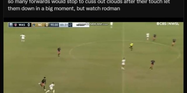 开云体育中国官方网站地址-美国足球界的朱自清 《记我和我的父亲罗德曼》